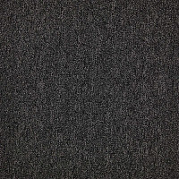 Ковровая плитка Modulyss 24 First Forward First Forward 995 фото 1 | FLOORDEALER